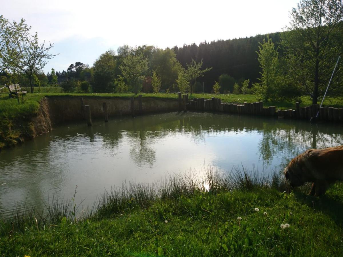 Ferienwohnung Hohe Acht Kaltenborn  Exteriör bild